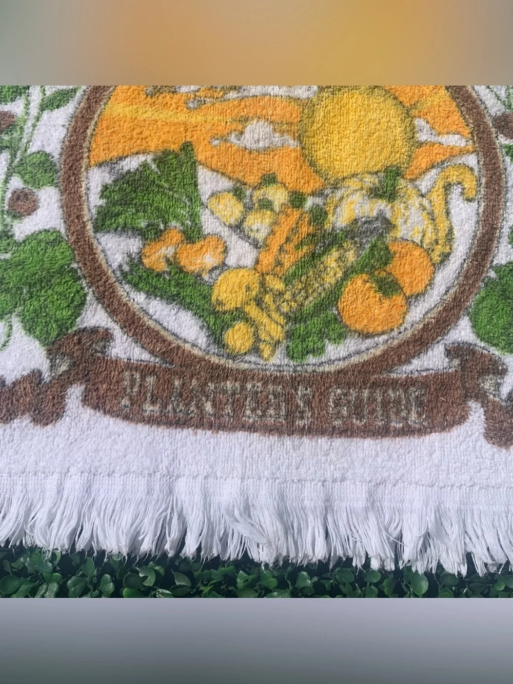 Vintage 70s Sayco Planter’s Guide Gardener Vegetable Patch & Sun Dish Towel